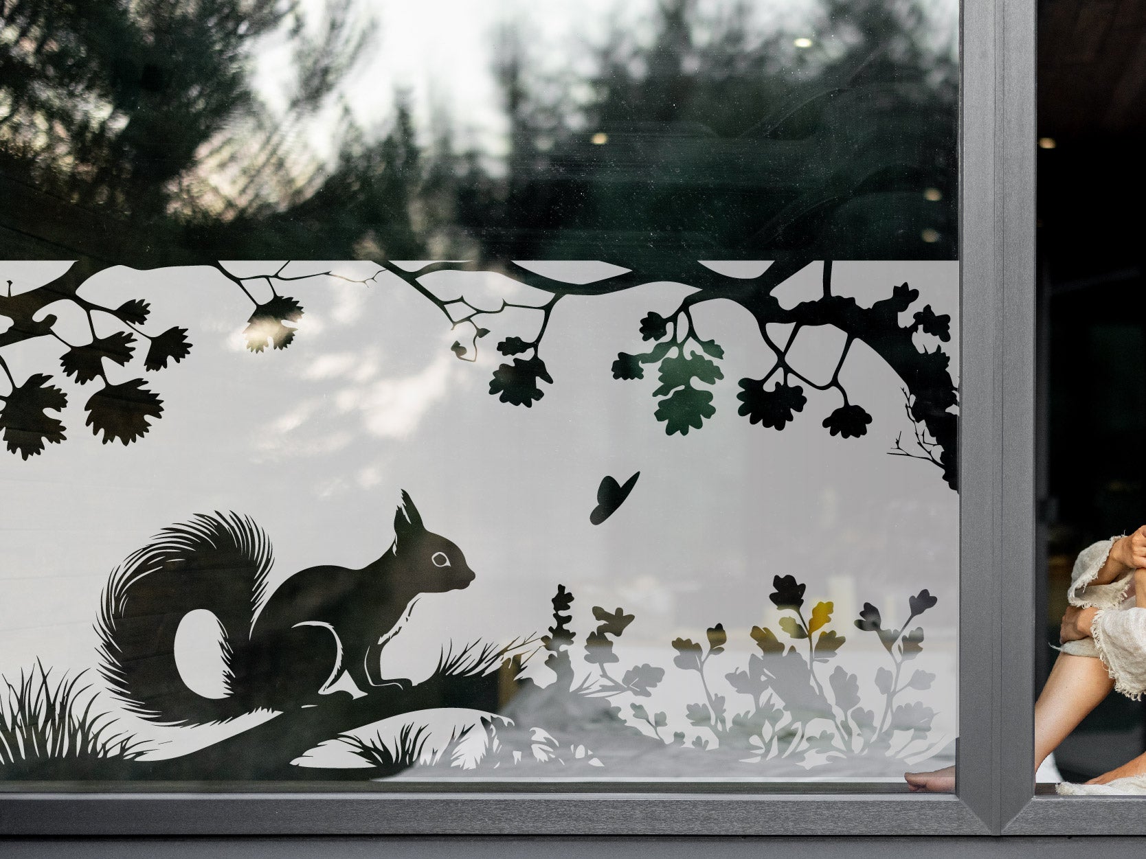 Milchglasfolie Eichhörnchen auf Sichtschutzfolie Ast – Folienhain