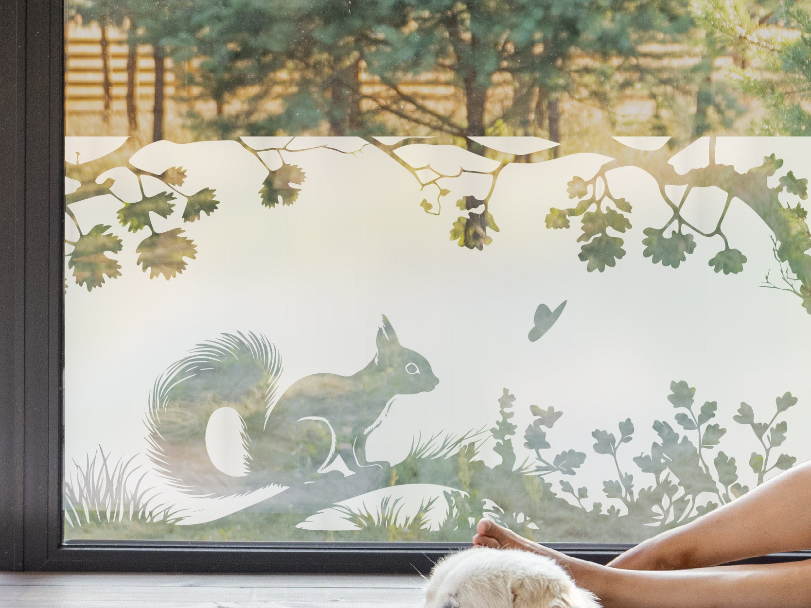 Milchglasfolie Eichhörnchen auf Folienhain Sichtschutzfolie – Ast