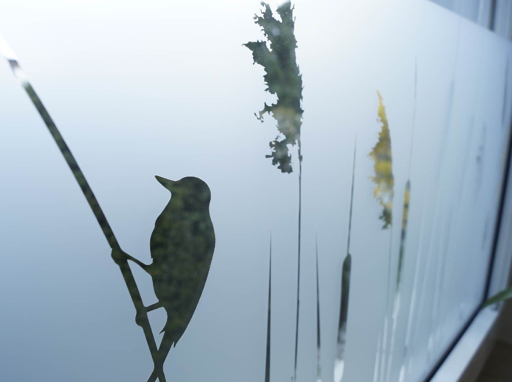 Sichtschutzfolie Vögel mit Schilf am Ufer, maritime Fensterfolie,  Fensterdeko Milchglasfolie
